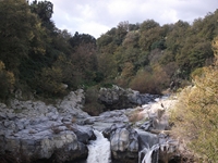 cantara gurne23122011 073